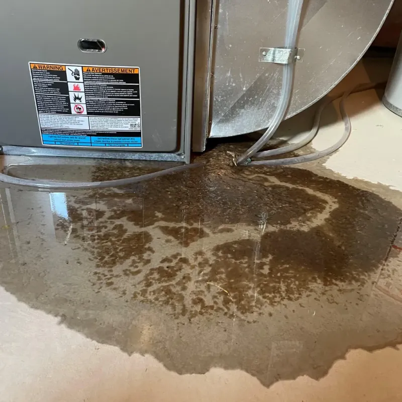 Appliance Leak Cleanup in Miles City, MT
