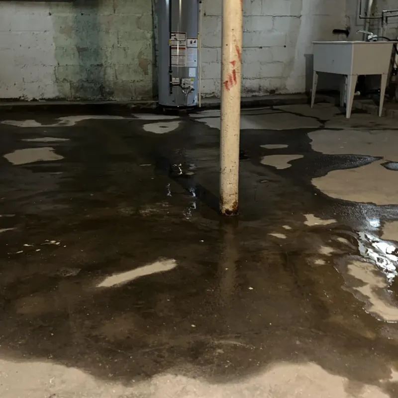 Emergency Water Extraction And Removal in Miles City, MT